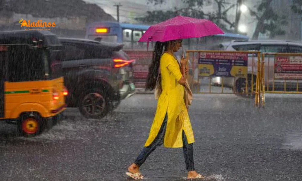 Tamil Nadu Weather Emergency: IMD Issues Red Alert in 8 Districts Amid Heavy Rain