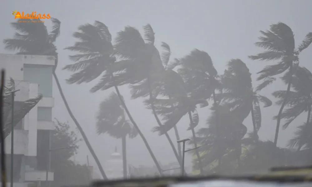 Urgent Tamil Nadu Weather Alert: IMD Warns of Heavy Rain and Cyclone Montha Threat