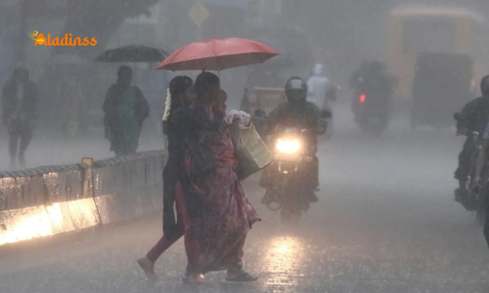 IMD Issues Heavy Rain Alert for 5 Tamil Nadu Districts Today