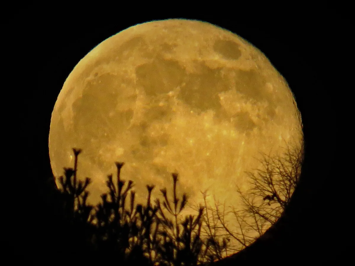 Cold Moon December 2025 Full Moon Date Meaning and Rituals