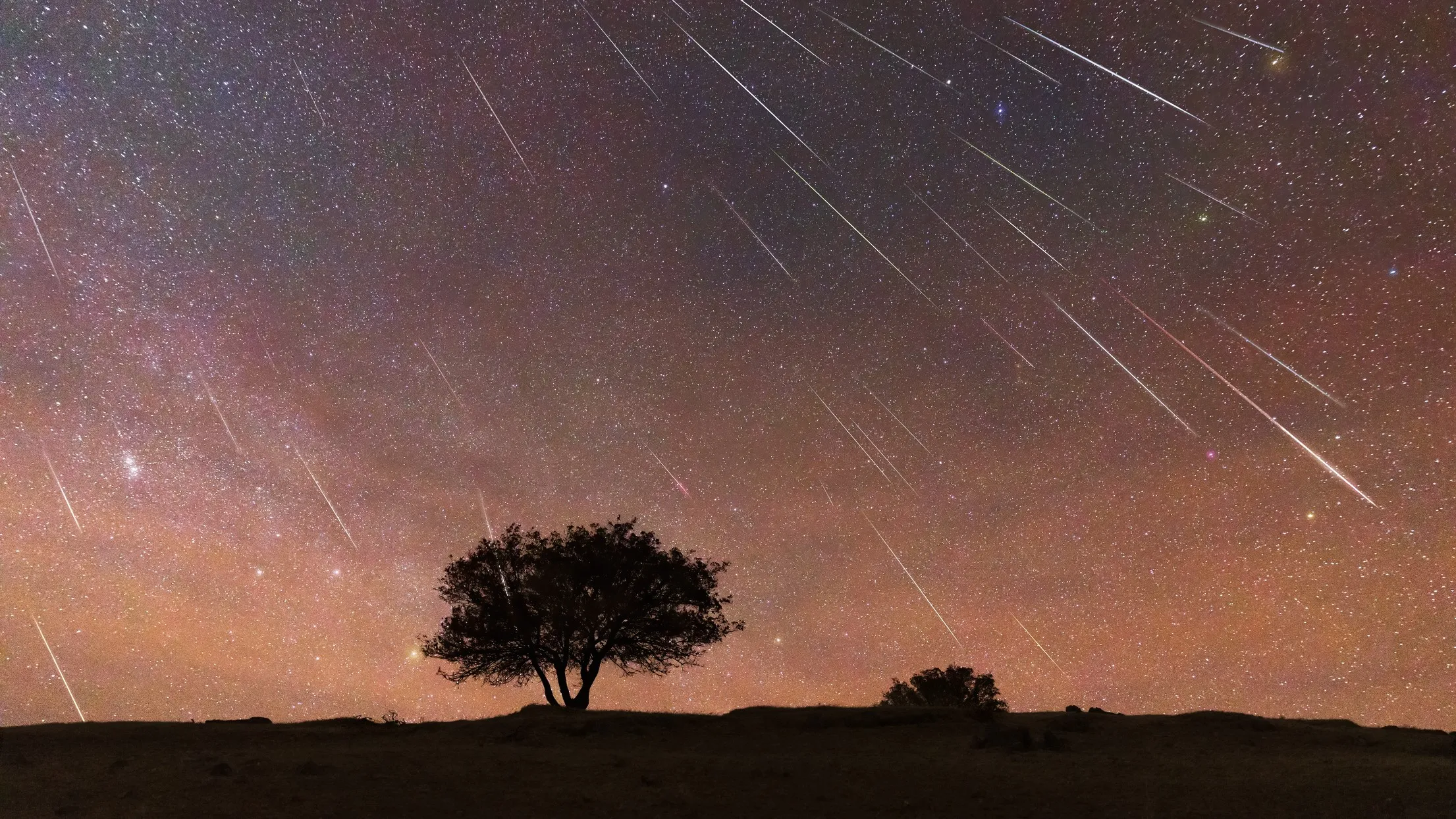 geminid meteor shower night sky