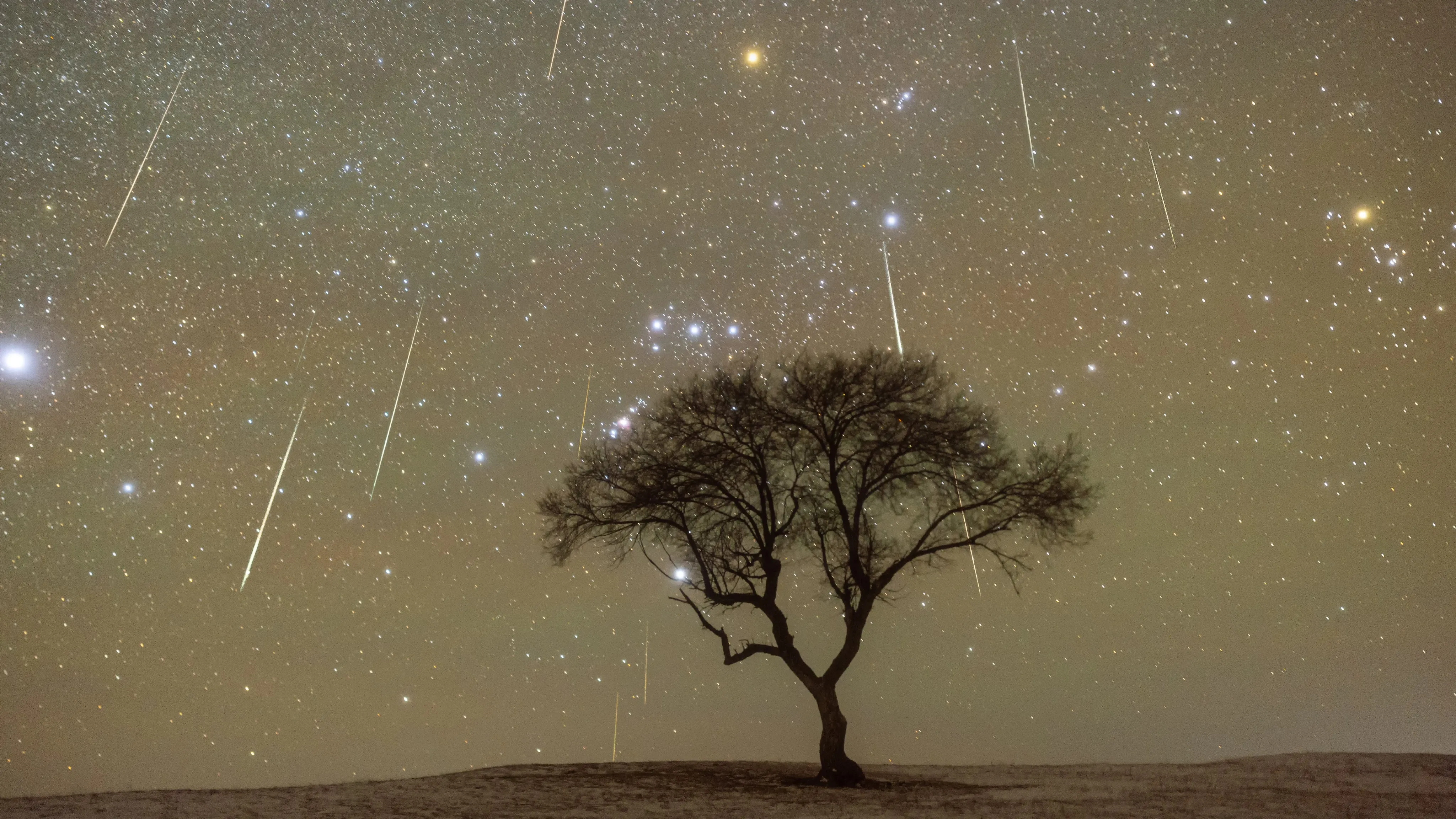 best viewing conditions geminid meteor shower