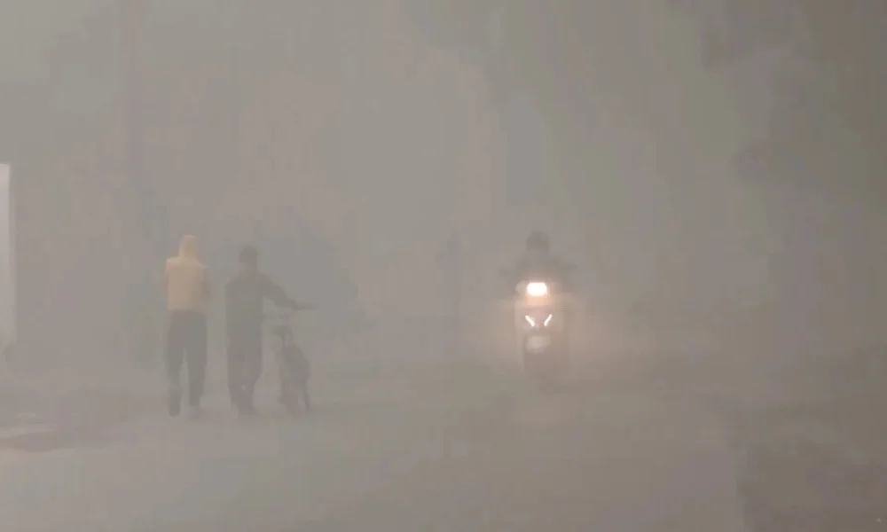 Dense mist disrupts travel across Delhi