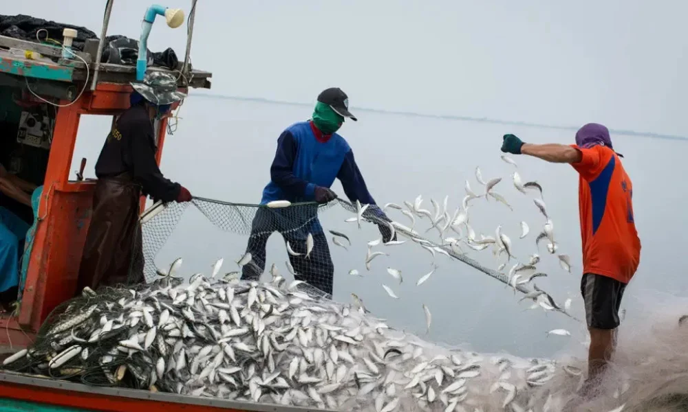 Himachal Fisheries Modern Technology