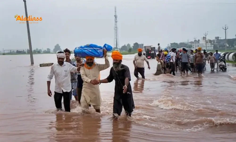 Punjab Floods 2025: 29 Dead in Worst Deluge in Four Decades