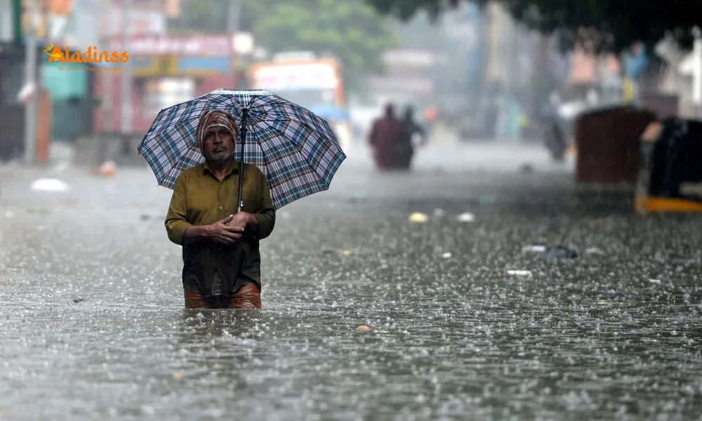 Rain Alert Tamil Nadu: Heavy Rain Forecast in 5 Districts Today, Met Department Issues Major Warning
