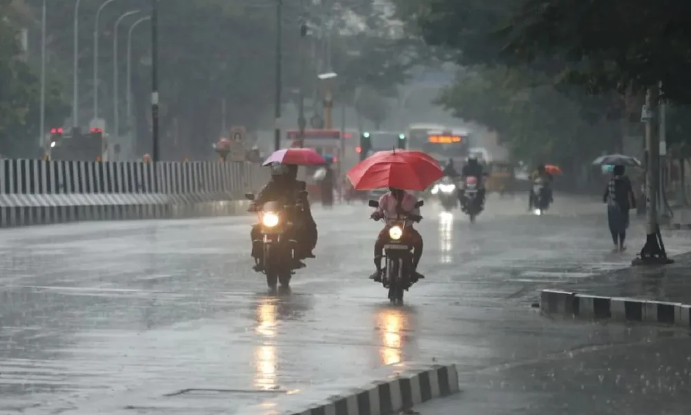 Rain Alert Tamil Nadu October 11 IMD Forecast