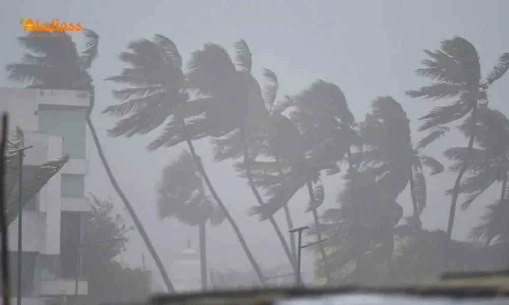 Urgent Tamil Nadu Weather Alert: IMD Warns of Heavy Rain and Cyclone Montha Threat