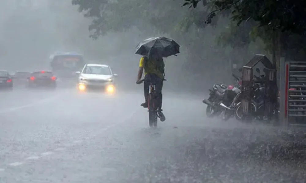 Rain in Tamil Nadu forecast by IMD
