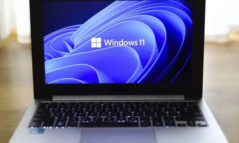 Windows 11 Bug