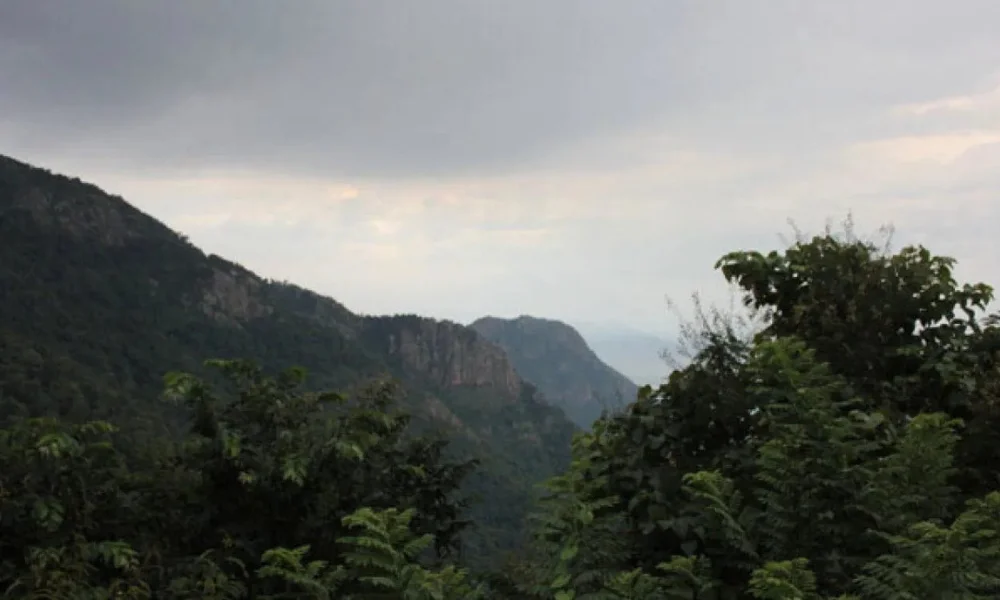 Yercaud, Tamil Nadu