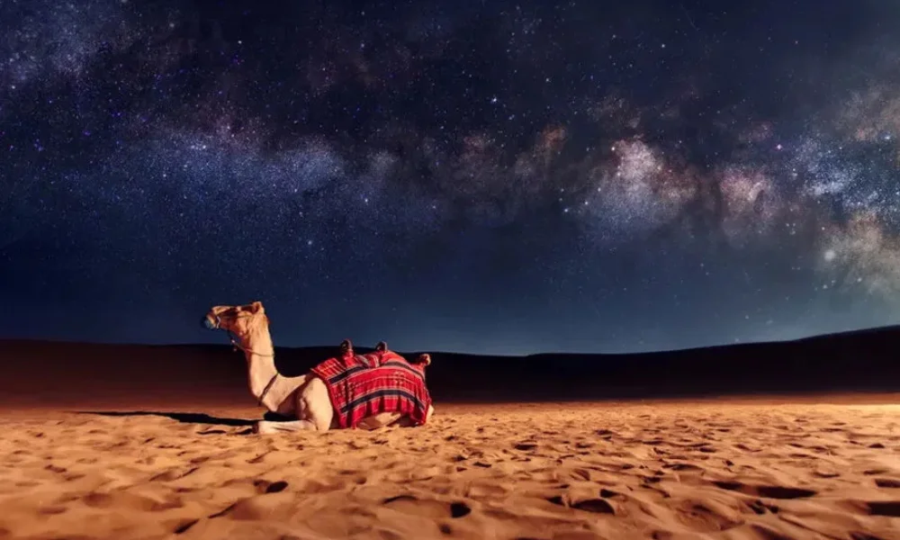  Jaisalmer, Rajasthan