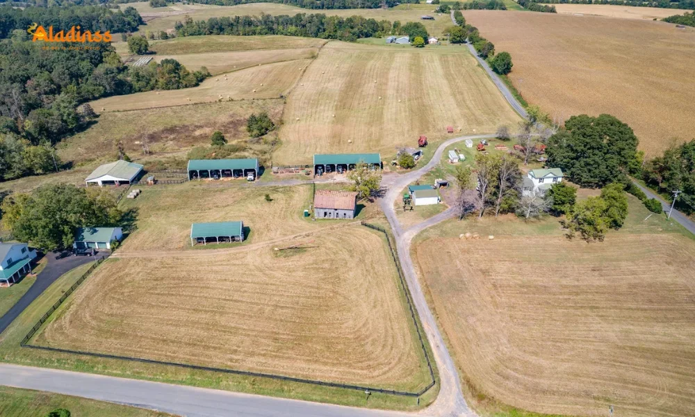 Cedar Lane Farm Lake Anna Auction Historic Waterfront Gem