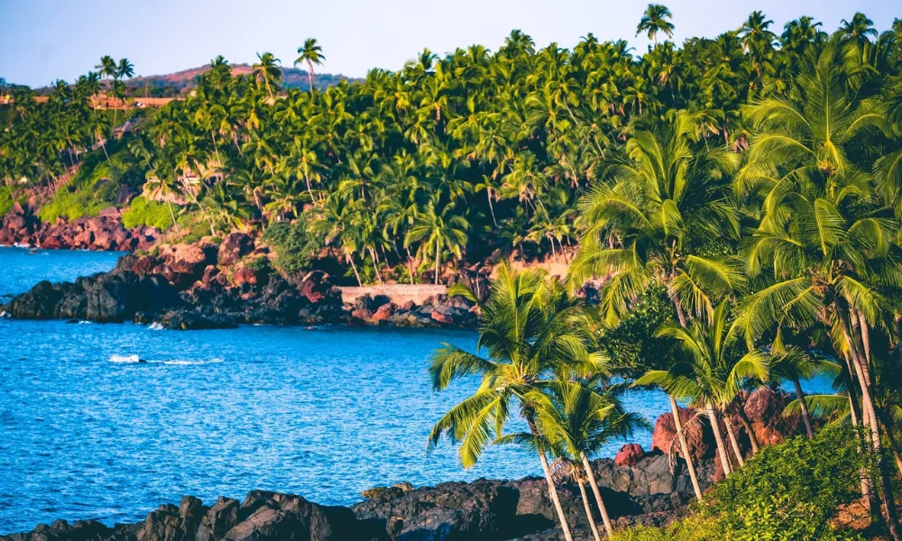 Complete Goa Travel Guide 2025 Itinerary Budget Best Time
