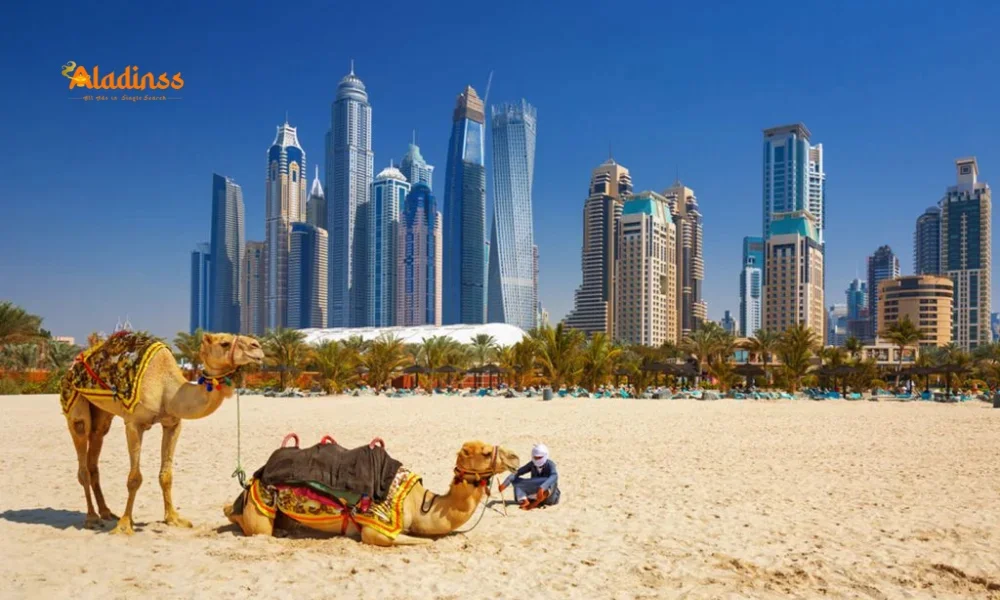 interesting facts about Dubai