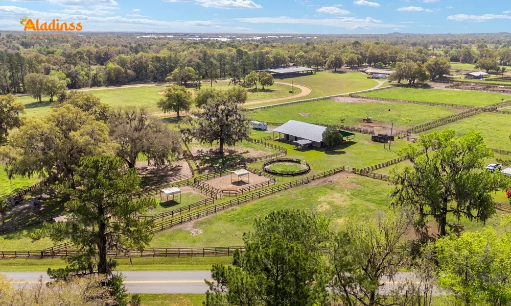 Smokey Willow Farm Ocala Luxury Equestrian Estate Revealed
