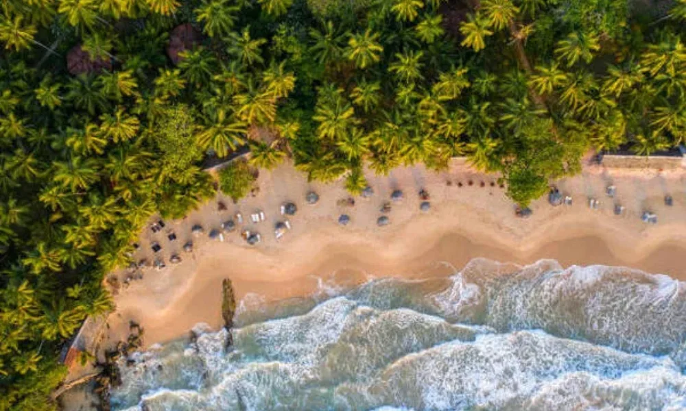 Sri Lanka travel from South India beach destinations
