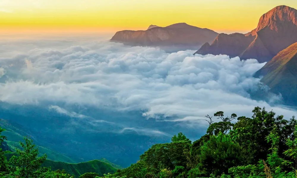Munnar winter tea plantations