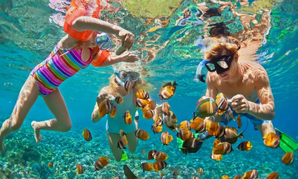 top 10 house reefs in the Maldives