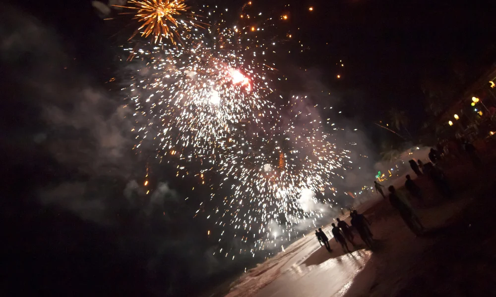 top 10 new year celebration places in india