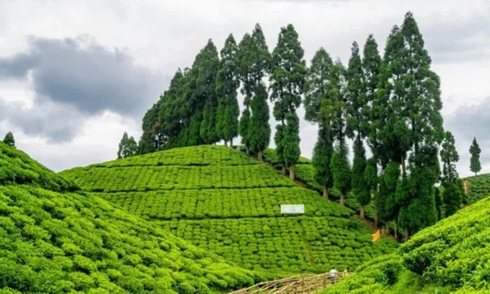 top 10 places to visit in india in 2025