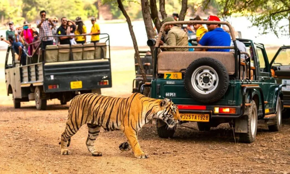 top 10 places to visit in india in 2025
