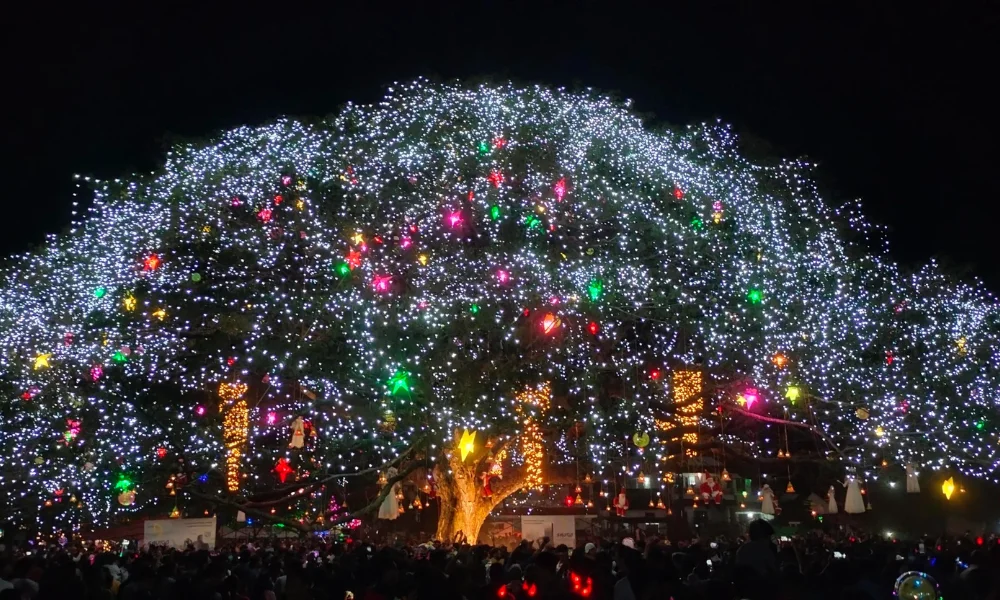 top 10 places to visit in india during christmas time