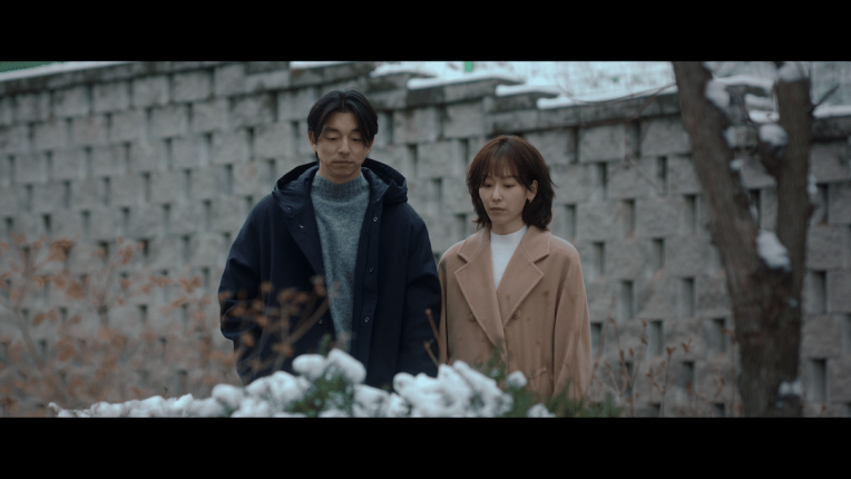 Photo 3 of The Trunk - Secrets Hidden Beneath the Surface