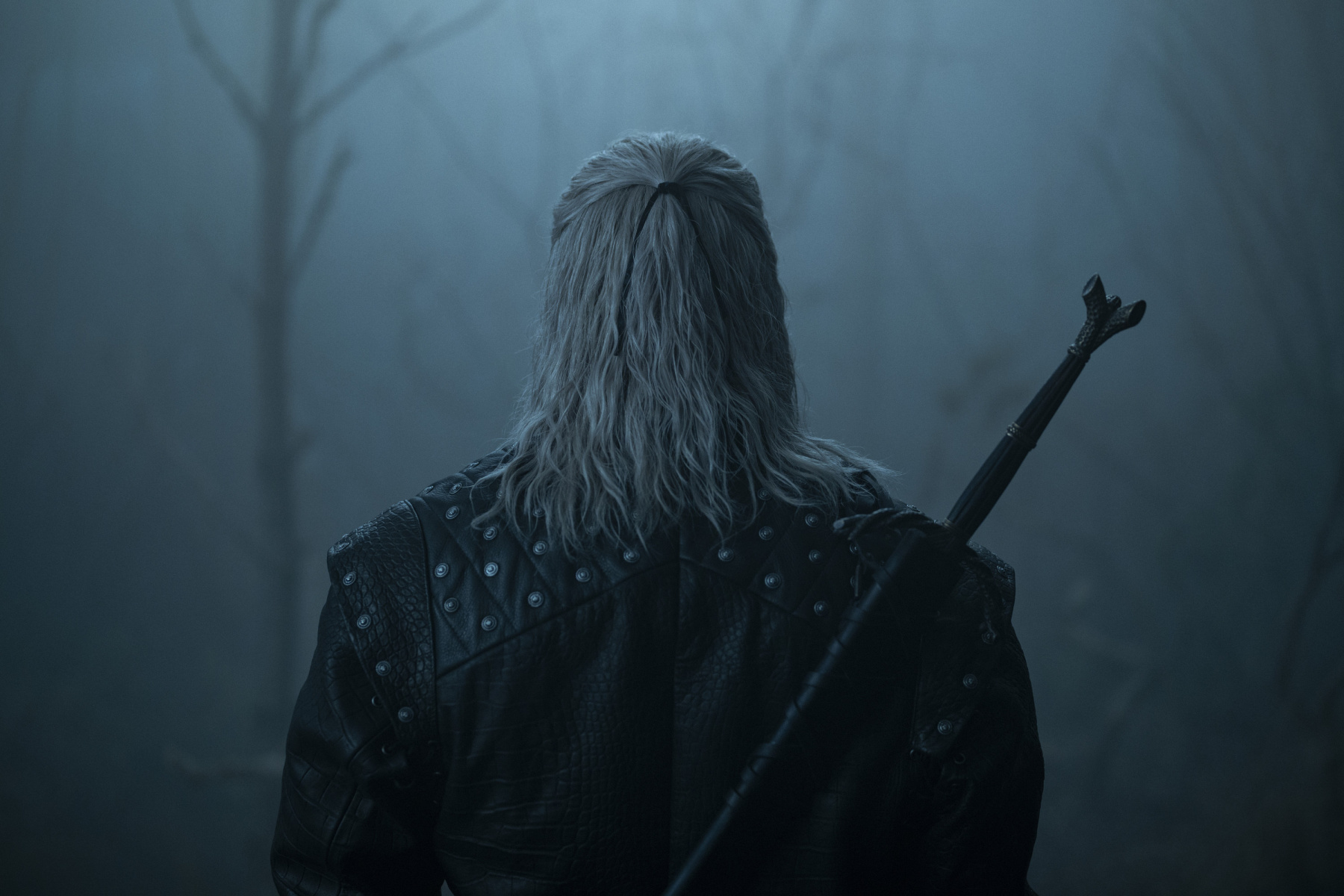 Photo 4 of The Witcher - A New Path Awaits Geralt