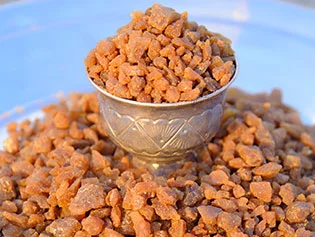 Image of: Green Agro Exim Import Export Services in Nagercoil 6