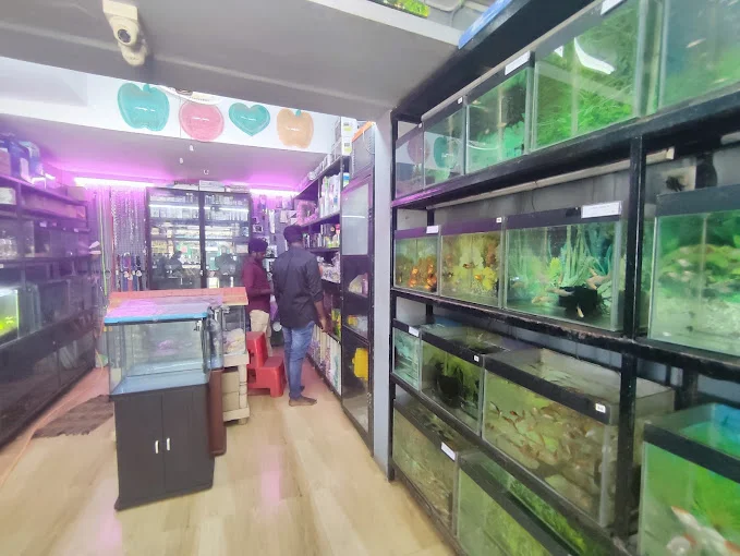 Image of: GBR Kennel Pet Services in Saral Tamil Nadu 2