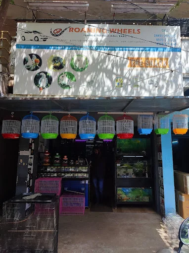 Image of: GBR Kennel Pet Services in Saral Tamil Nadu 7