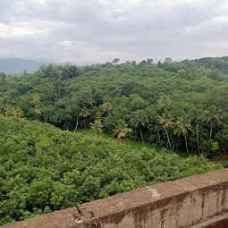 Image of: Pallam Road Selfie Spot Tourist Place in Tamil Nadu 2