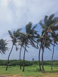 Image of: Pallam Road Selfie Spot Tourist Place in Tamil Nadu 3