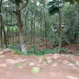 Image of: Pallam Road Selfie Spot Tourist Place in Tamil Nadu 4