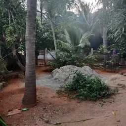 Image of: Pallam Road Selfie Spot Tourist Place in Tamil Nadu 6