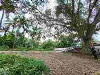 Image of: Manichithrathazhu View Point in Padmanabhapuram Tamil Nadu 2
