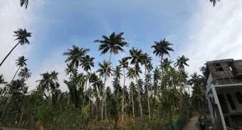 Image of: Soorankudy Tourist Spot in Dharmapuram