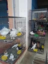 Image of: Mel's Pets Store in Kalakkad, Tamil Nadu – Pet Supplies 5