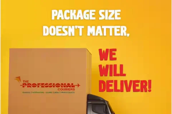 Image of: The Professional Courier Thisayanvilai Tamil Nadu Courier Service