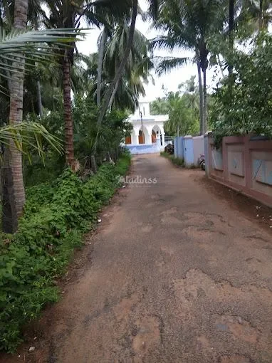 Image of: CSI Church Thengamputhoor Thengamputhur - Divine Peace 5