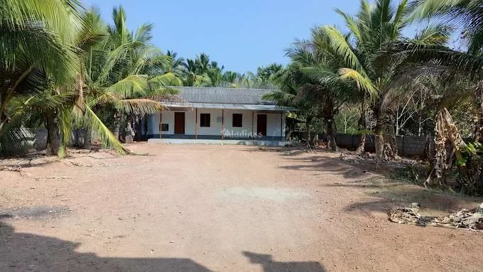 Image of: Kandu Konda Manikathu Villai CSI Church Palappallam