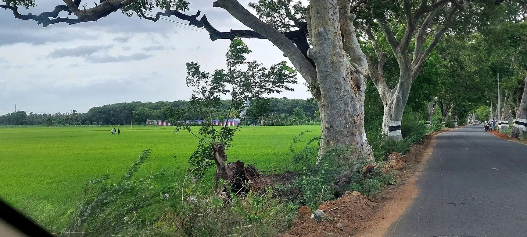 Image of: Cinema Shooting View Point Cheranmahadevi  Travel Agents