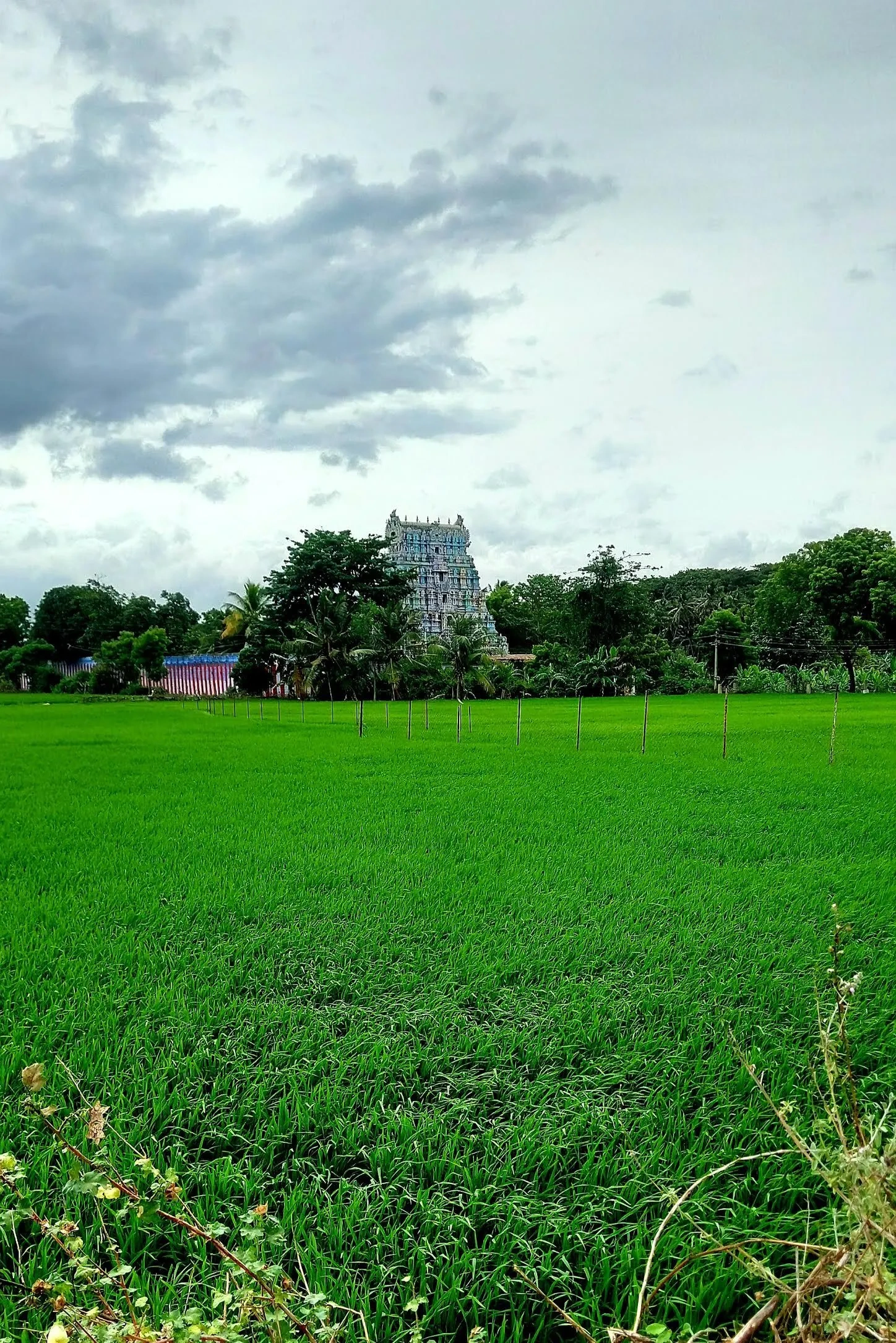 Image of: Cinema Shooting View Point Cheranmahadevi  Travel Agents 5