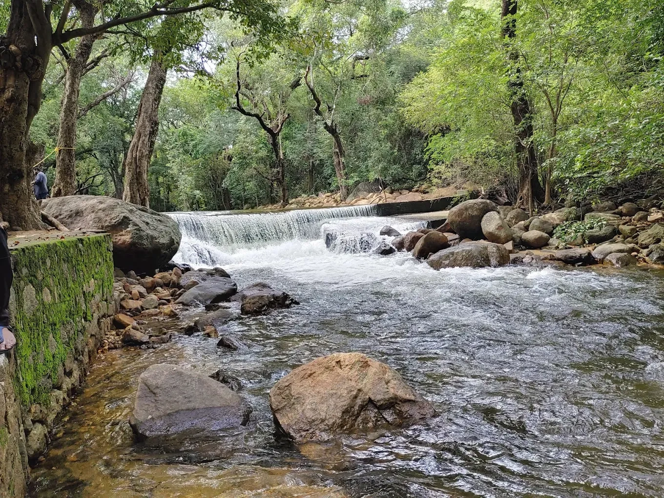 Image of: Explore Kalakad Thalayanai Travel Agents