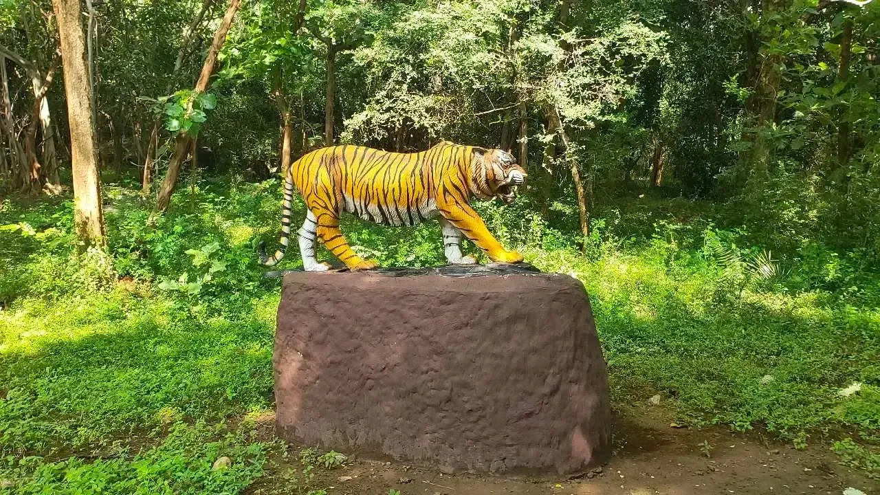 Image of: Explore Kalakad Thalayanai Travel Agents 6