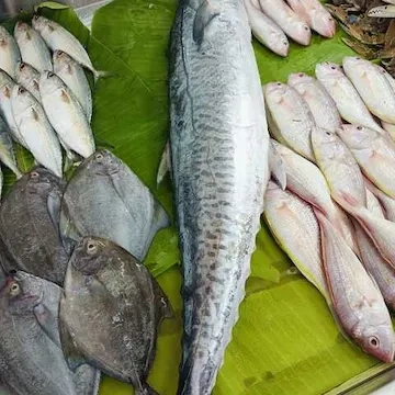 Image of: Fathima Beef Stall Melapalayam Tirunelveli Fresh Meat Fish