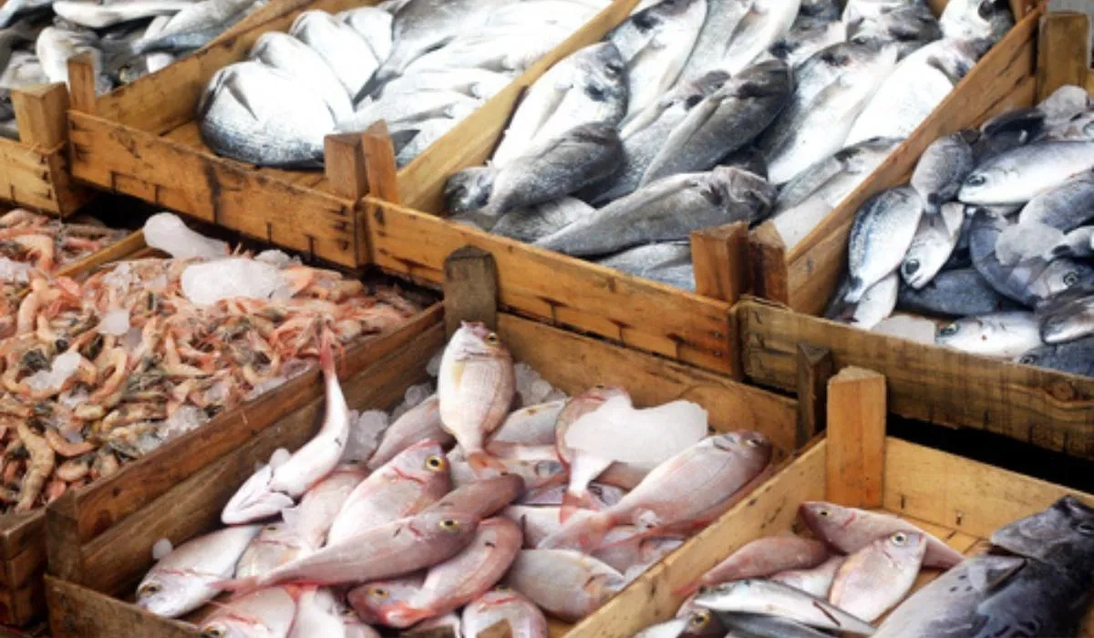 Image of: Fresh Fish Merchant Tirunelveli Tenkasi Tamil Nadu