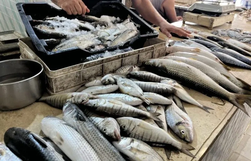 Image of: Fresh Fish Merchant Tirunelveli Tenkasi Tamil Nadu 2