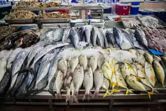 Image of: Fresh Fish Merchant Tirunelveli Tenkasi Tamil Nadu 3